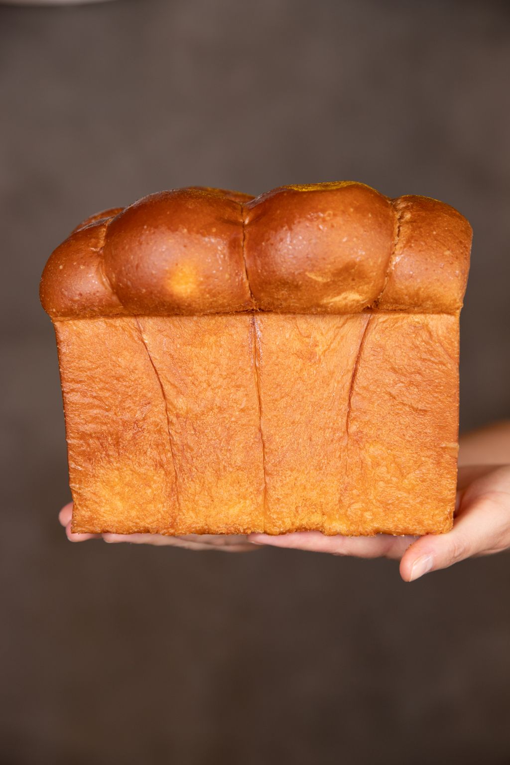 Brioche de forma, macio e dourado