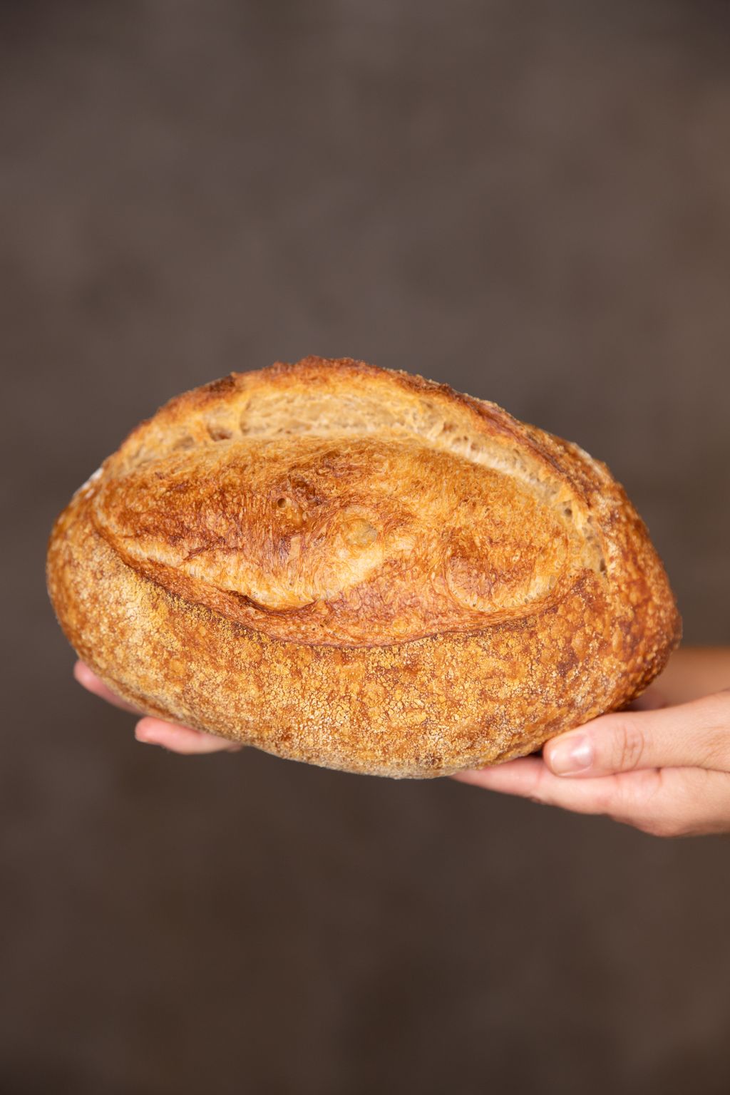 Pão italiano de forma, fatiado